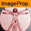 images/download/thumbnails/114312555/ico_imagepropo.png